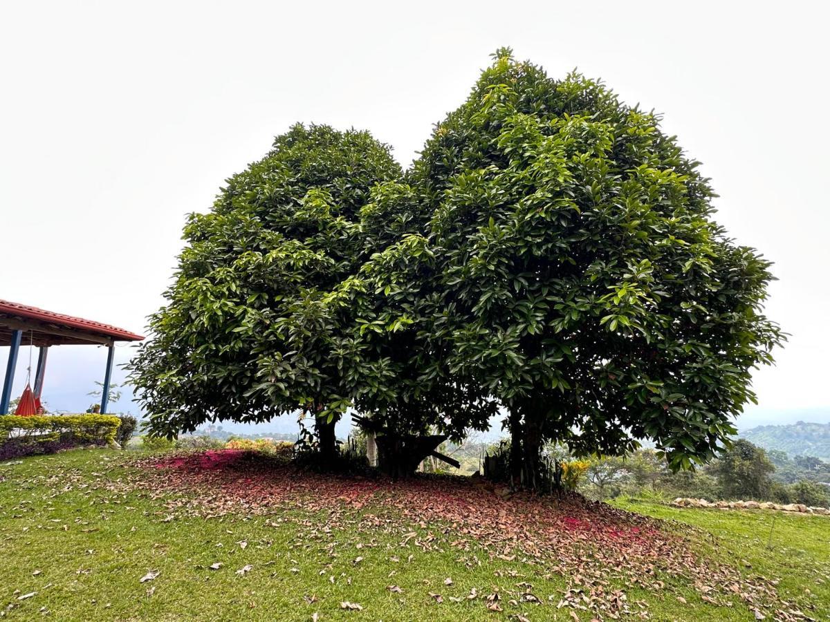 Hacienda Siete Sentidos