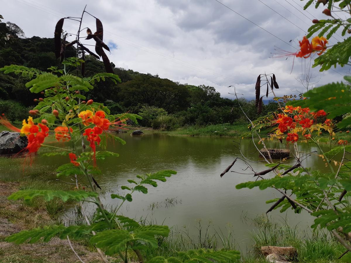 Hacienda Siete Sentidos Holiday home *
